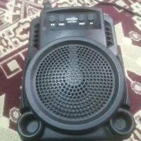 اسپیکر سالم فلش خور