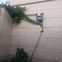 استا بنا و رنگ کاری