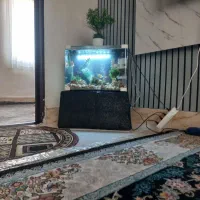 آکواریون