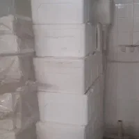 کاچوپ یخ دونی