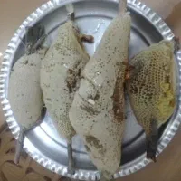 عسل طبیعی با شاخه موجود است.