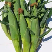 ذرت شیره  درجه یک