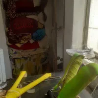 تیرکمان یاپلخمان سنگی