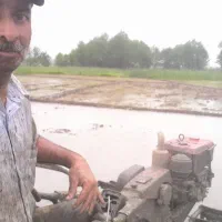 کاشت دوم پیش کاول