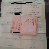 البرز تک باری