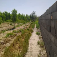 باغ کشاورزی