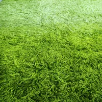 فرش فانتزی ماکارونی4متری|فرش|تهران, سعیدآباد|دیوار