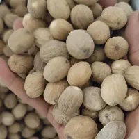 جوز هندی