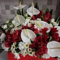 گل طبیعی