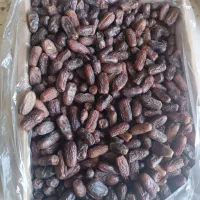 فروش خرما پیارم