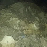 کود گوسفندی