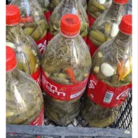 خیار شور همدان ترد خوشمزه