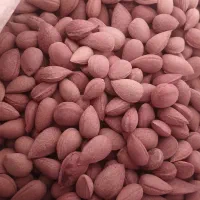 بادام کوهی تمیز و درشت