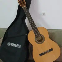 گیتار حرفه ای