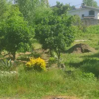 یک ویلا با زمین