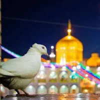 تور اقتصادی مشهد (از رشت و قزوین )