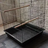 قفس قناری کاملا سالم