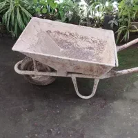 فرغون