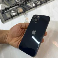 apple13 normal
