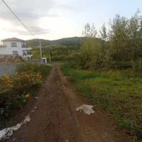 فروش-زمین-مسکونی-سوستان