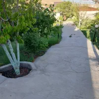 700مترباغچه