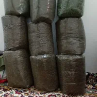 سبزی قرمه سبزی فقط ۶۵۰ دارای ضمانت برگشت