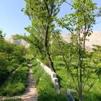 باغ اخلمد با آب و سند ملکی داخل مجموعه فقط 480تومن