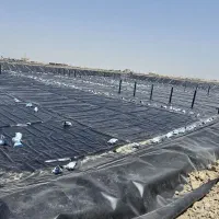 همکارآقا با تجربه در مدیریت داخلی