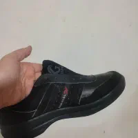 تازا باشماخ هرسایزدا