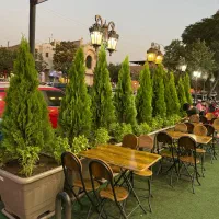ظرفشور خانم  متعهد و کاری