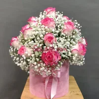 بوگت ها و کارهای جدید