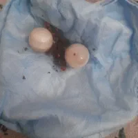 دو مهره اصل و قدیمی