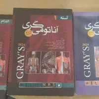 آناتومی‌ گری تنه اندام سر و گردن