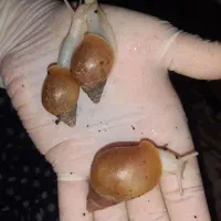 فروش کار در منزل