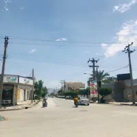 زمین 38 گزی پشت کادوس سند تک برگ