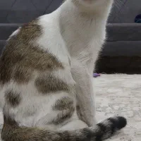 جهت واگذاری