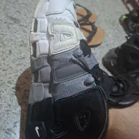 کفش نایک اصلی نو نو