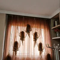 پرده پنجره
