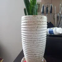 گل طبیعی