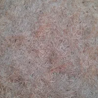 فروش کاه