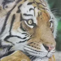 تابلوی نقاشی
