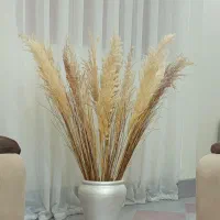 گلدان زیبا