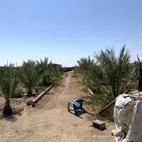 فروش-باغ