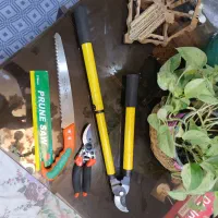 لوازم باغبانی و هرس گل گیاه قیچی شاخه زن اره