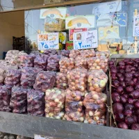 صندوق دار خانم