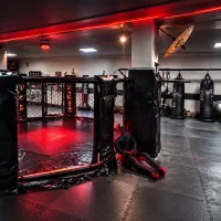 باشگاه تخصصی رزمی میعاد تنها قفس MMA