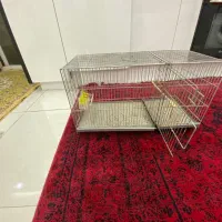 قفس جوجه گیری پرو