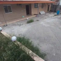 حس وحال عجیبی داره فقط با بازدید متوجه حرفام میشی