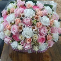 فروش گل باکسی کاملا نو