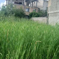 زمین مسکونی سنددار 362 متری